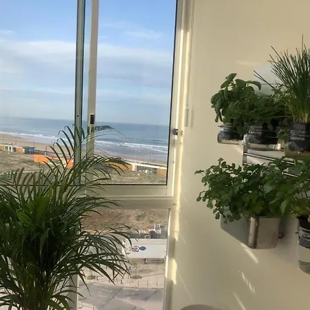 Beachfront 8th Floor-free Parking-surfing & Naturism Apartment